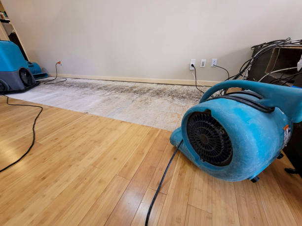 Reliable Basement Flood Cleanup contractor in Newark, OH by Hirex Water Damage