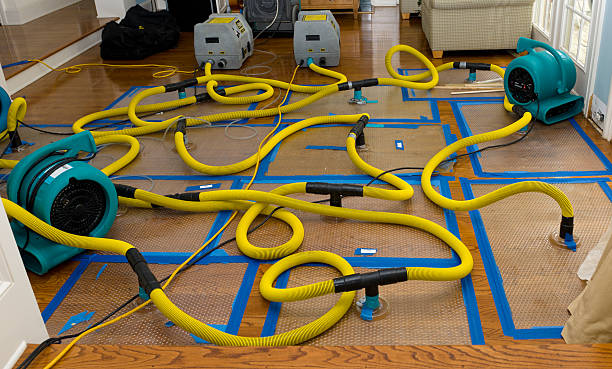 Professional Basement Flood Cleanup technician working in Newark, OH